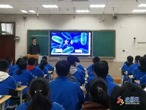 提升工程促發展 高效課堂共改革——煙臺三中學科教學大比武活動紀實